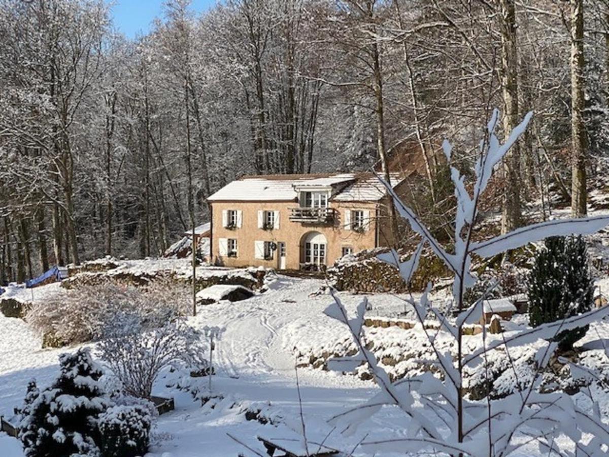 Gite Du Bois Des Hauts Les Mille Etangs La Lanterne-et-les-Armonts Exteriér fotografie