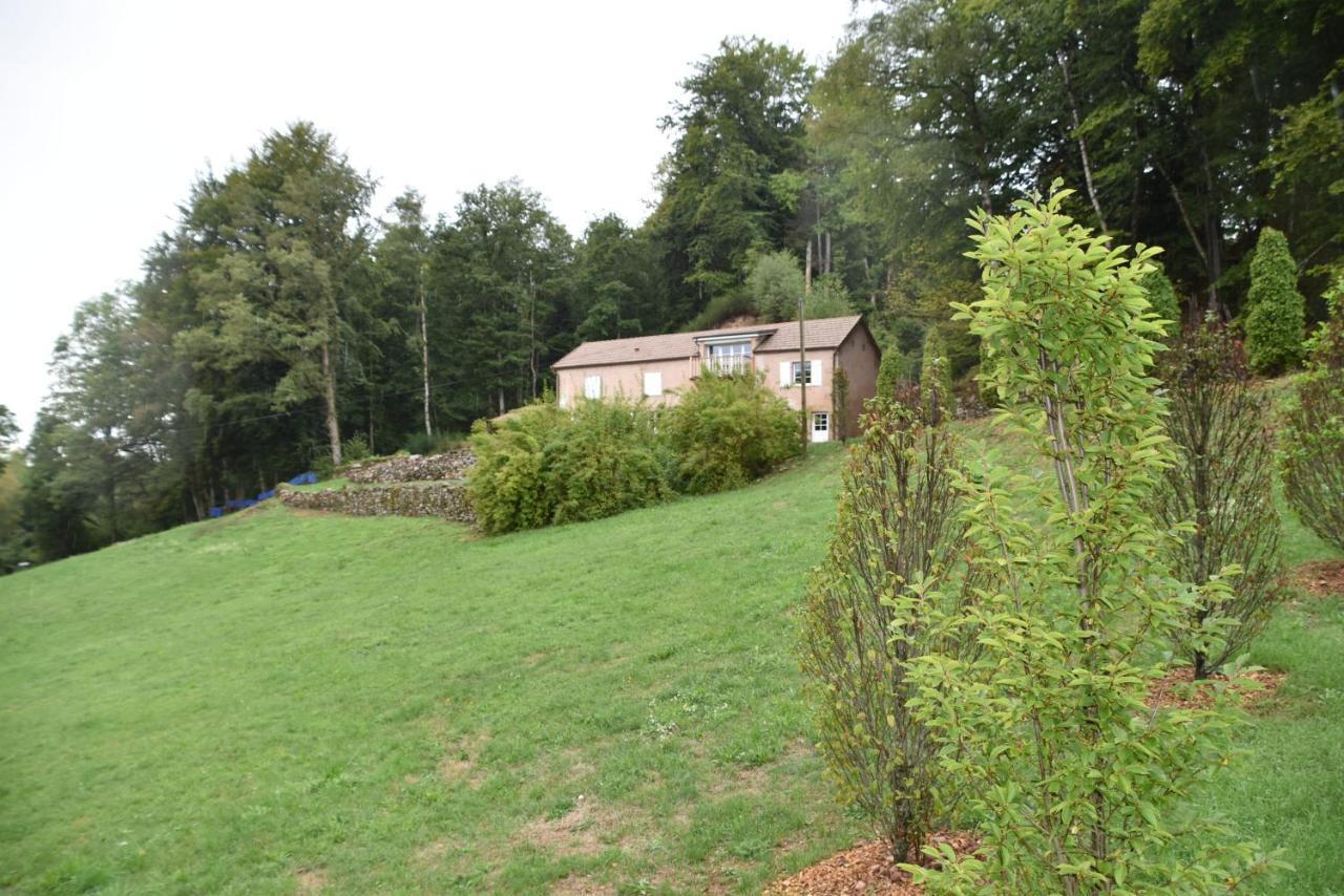 Gite Du Bois Des Hauts Les Mille Etangs La Lanterne-et-les-Armonts Exteriér fotografie