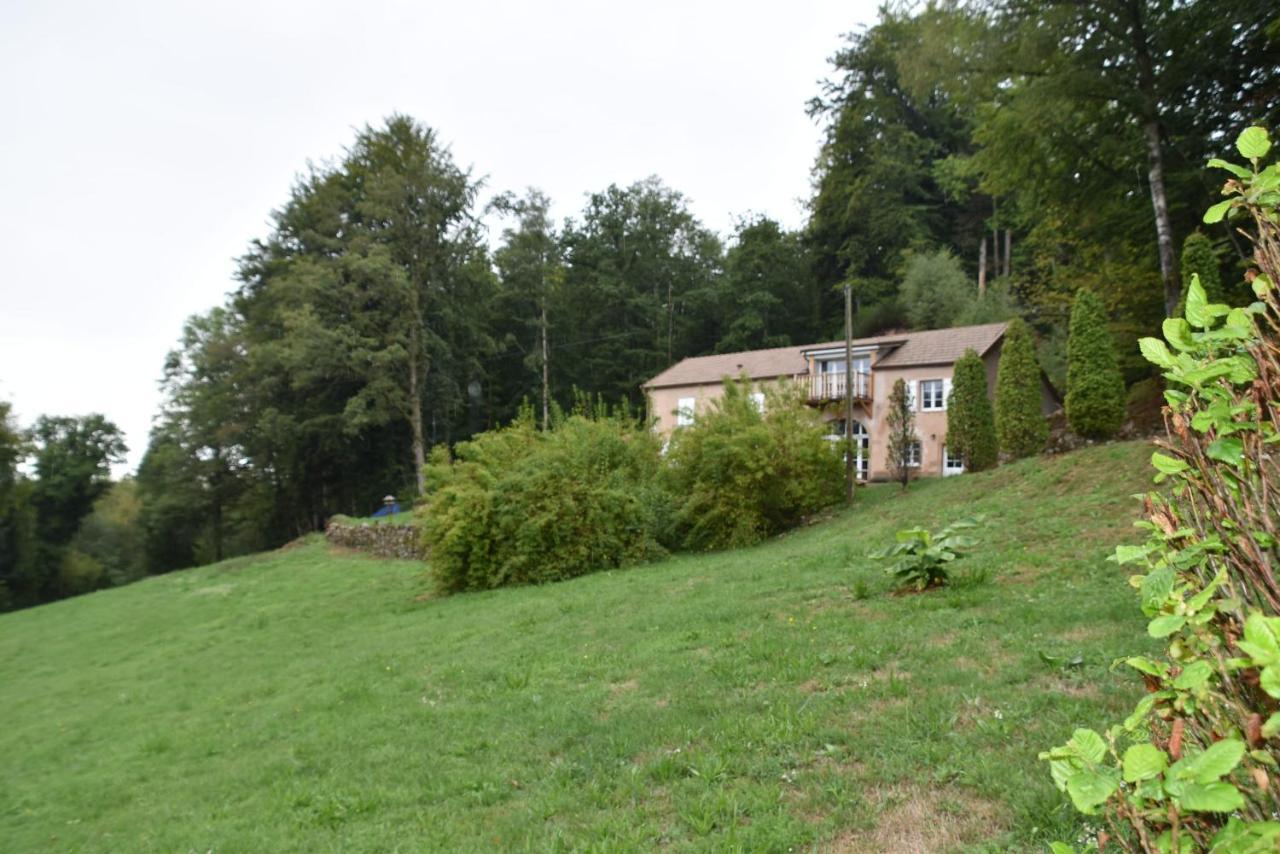 Gite Du Bois Des Hauts Les Mille Etangs La Lanterne-et-les-Armonts Exteriér fotografie